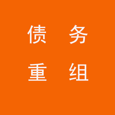 凤泉个人债务重组优化
